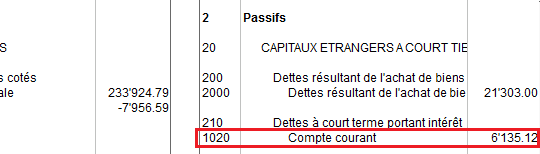 Bilan avec solde 1020 négatif